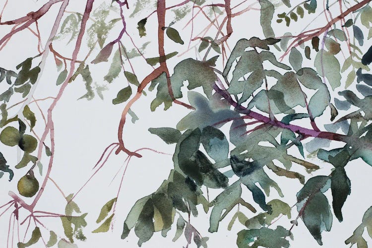 Branch Study No. 1