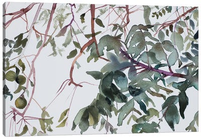 Branch Study No. 1 Canvas Art Print - Elizabeth Becker