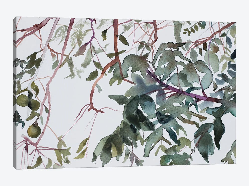 Branch Study No. 1 by Elizabeth Becker 1-piece Art Print