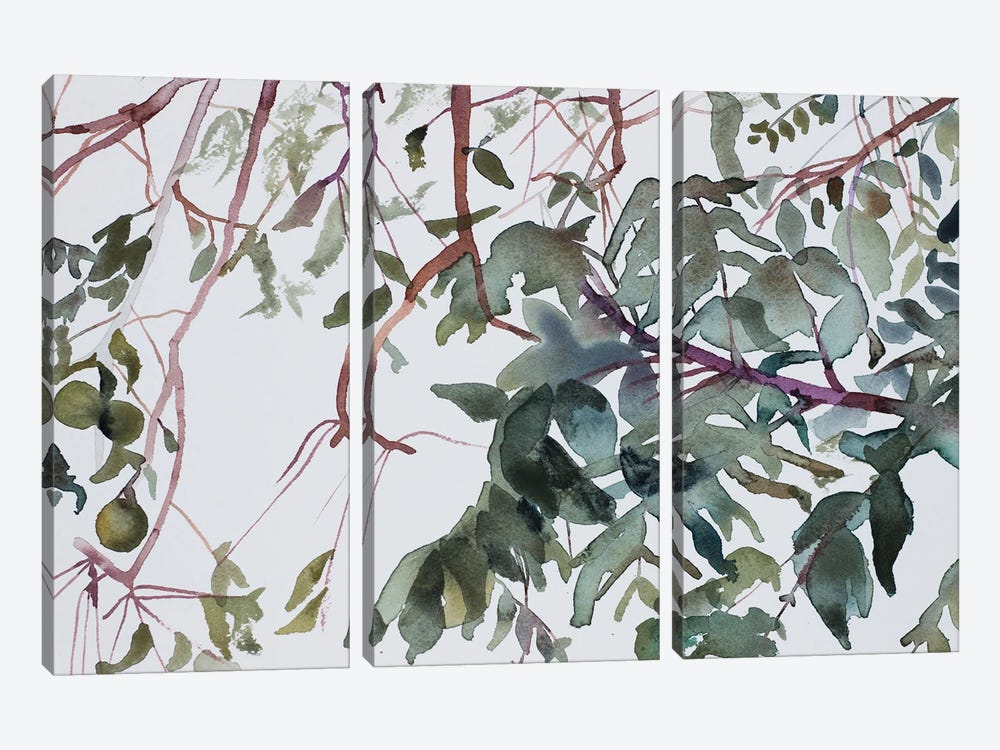 Branch Study No. 1 by Elizabeth Becker 3-piece Art Print