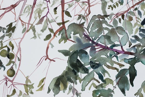 Elizabeth Becker: Branch Study No. 1 by Elizabeth Becker