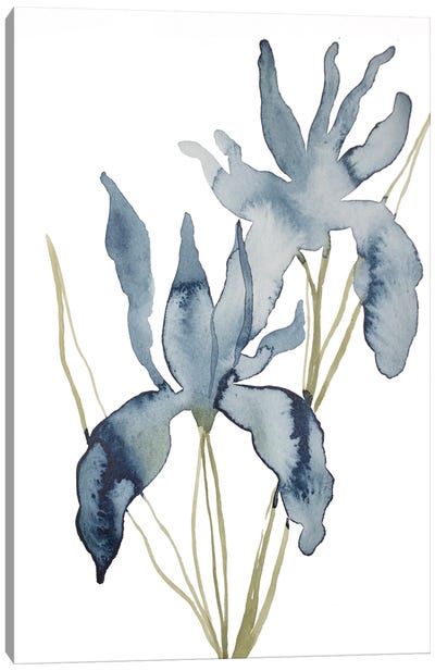 Iris No. 156 Canvas Art Print - Elizabeth Becker