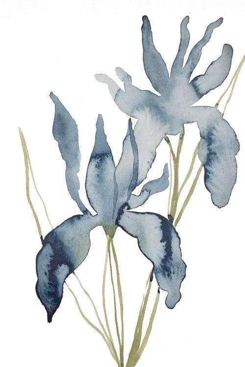 Iris No. 156