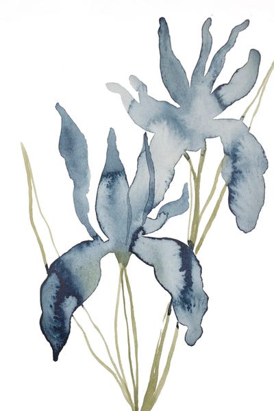 Irises: Iris No. 156 by Elizabeth Becker