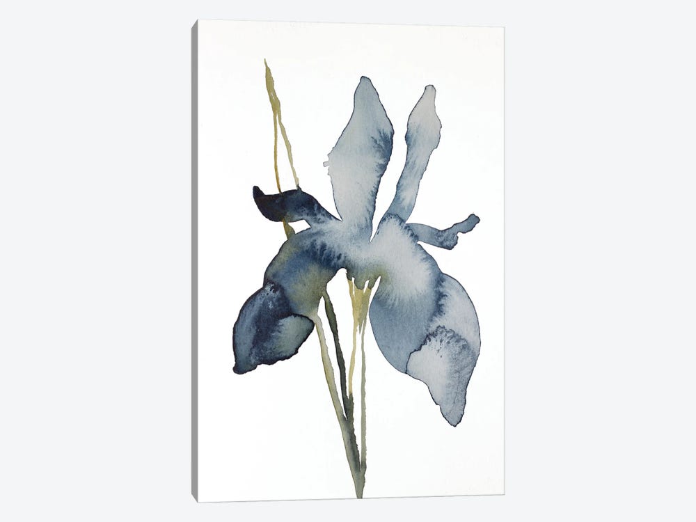 Iris No. 158 by Elizabeth Becker 1-piece Canvas Art