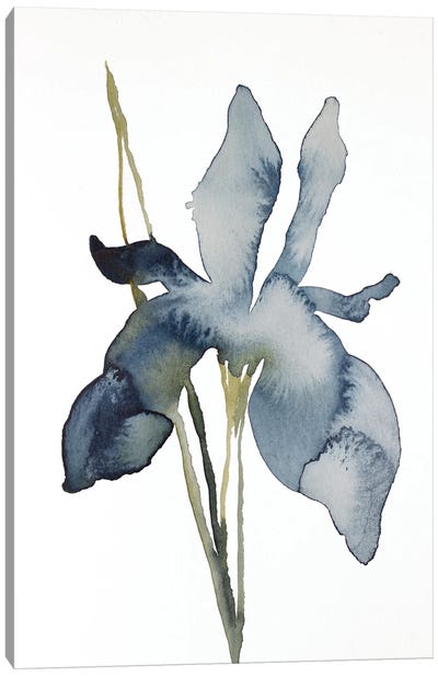 Iris No. 158 Canvas Art Print - Elizabeth Becker