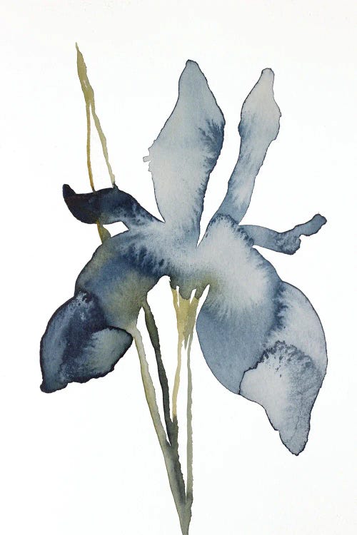 Iris No. 158