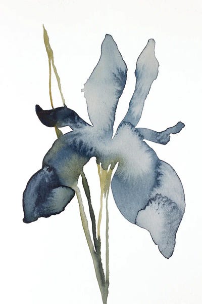 Irises: Iris No. 158 by Elizabeth Becker