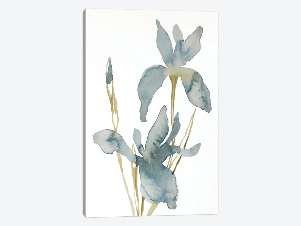 Iris No. 160 by Elizabeth Becker 1-piece Canvas Art Print