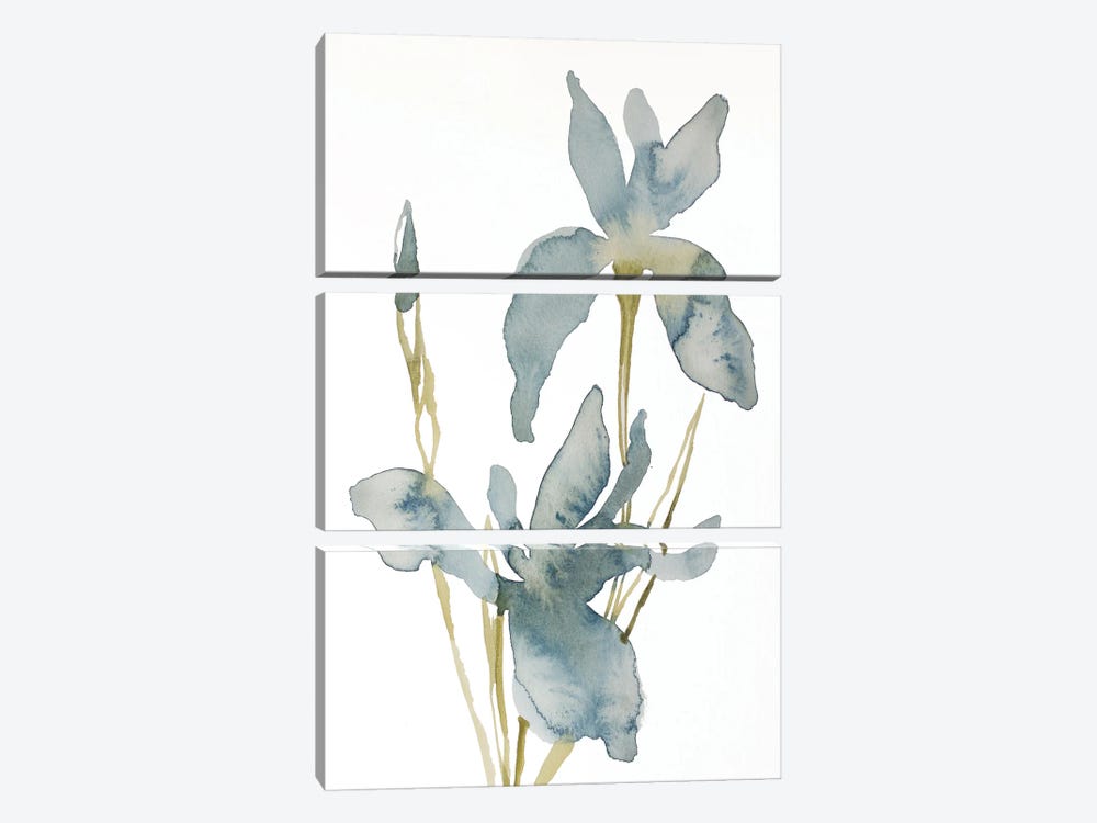 Iris No. 160 by Elizabeth Becker 3-piece Art Print