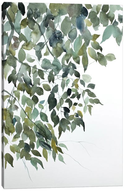 Branch Study No. 5 Canvas Art Print - Elizabeth Becker