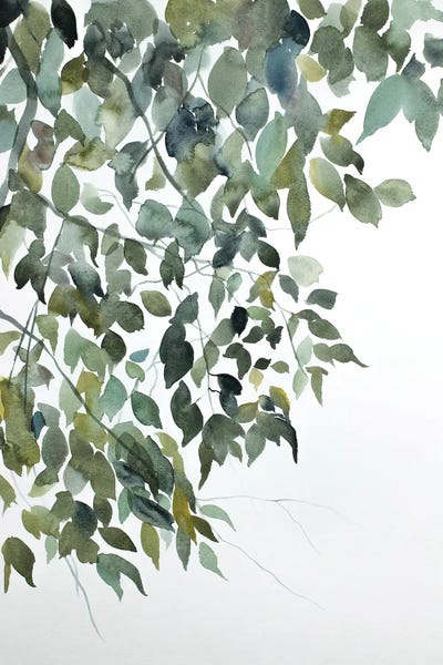 Elizabeth Becker: Branch Study No. 5 by Elizabeth Becker