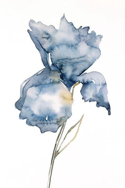 Irises: Iris No. 181 by Elizabeth Becker