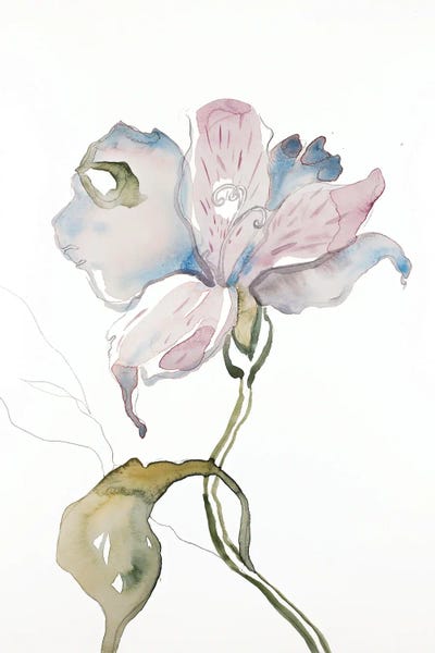 Watercolor Flowers: Lily No. 11 by Elizabeth Becker