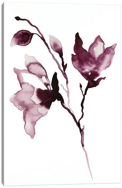 Magnolia No. 42 Canvas Art Print - Elizabeth Becker