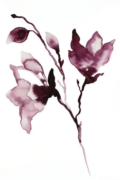 Magnolias: Magnolia No. 42 by Elizabeth Becker