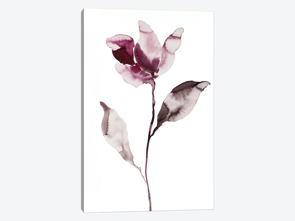 Magnolia No. 45 by Elizabeth Becker 1-piece Canvas Art Print