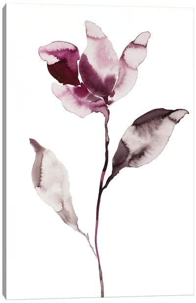 Magnolia No. 45 Canvas Art Print - Elizabeth Becker