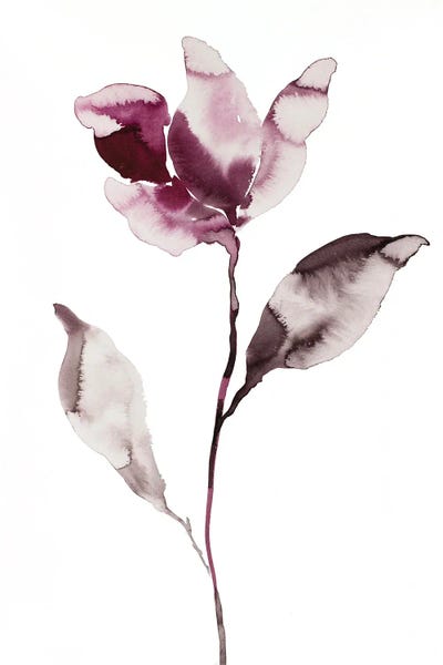 Magnolias: Magnolia No. 45 by Elizabeth Becker