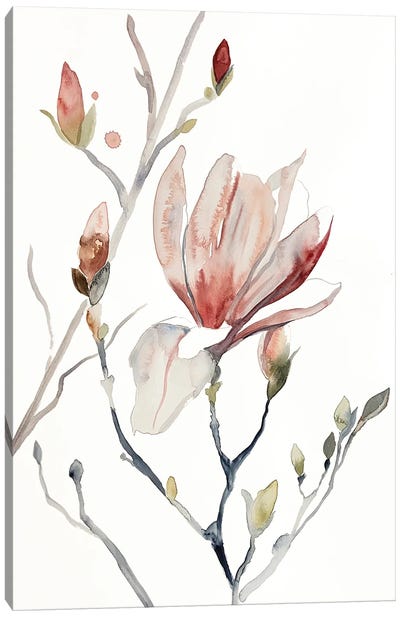 Magnolia No. 52 Canvas Art Print - Elizabeth Becker