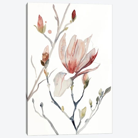 Magnolia No. 52 Canvas Print #EZB75} by Elizabeth Becker Canvas Wall Art