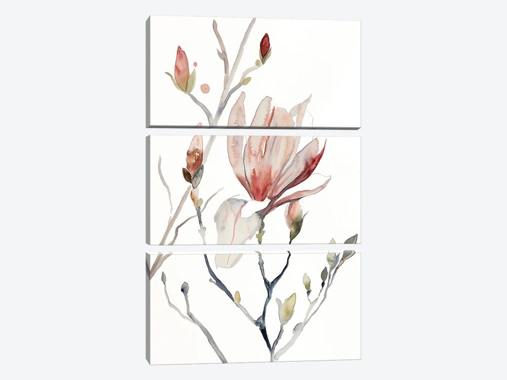 Magnolia No. 52 by Elizabeth Becker 3-piece Canvas Wall Art