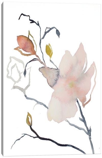 Magnolia No. 54 Canvas Art Print - Elizabeth Becker