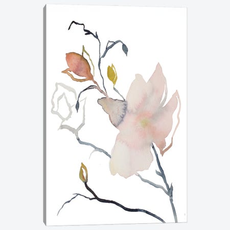 Magnolia No. 54 Canvas Print #EZB76} by Elizabeth Becker Canvas Art