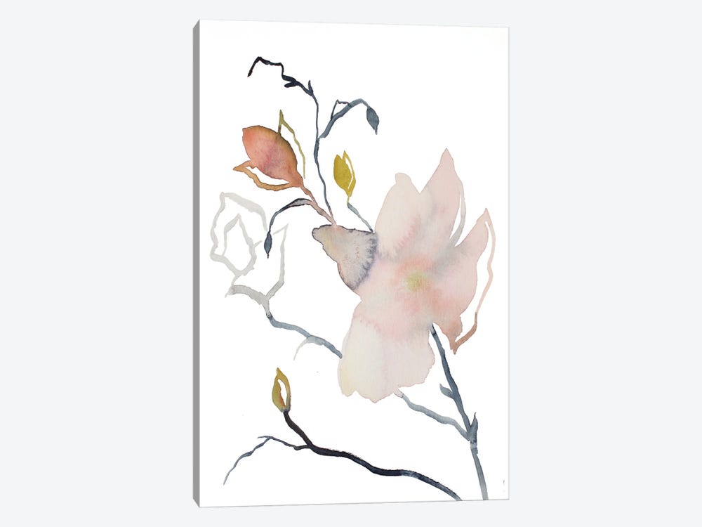 Magnolia No. 54 by Elizabeth Becker 1-piece Canvas Art Print