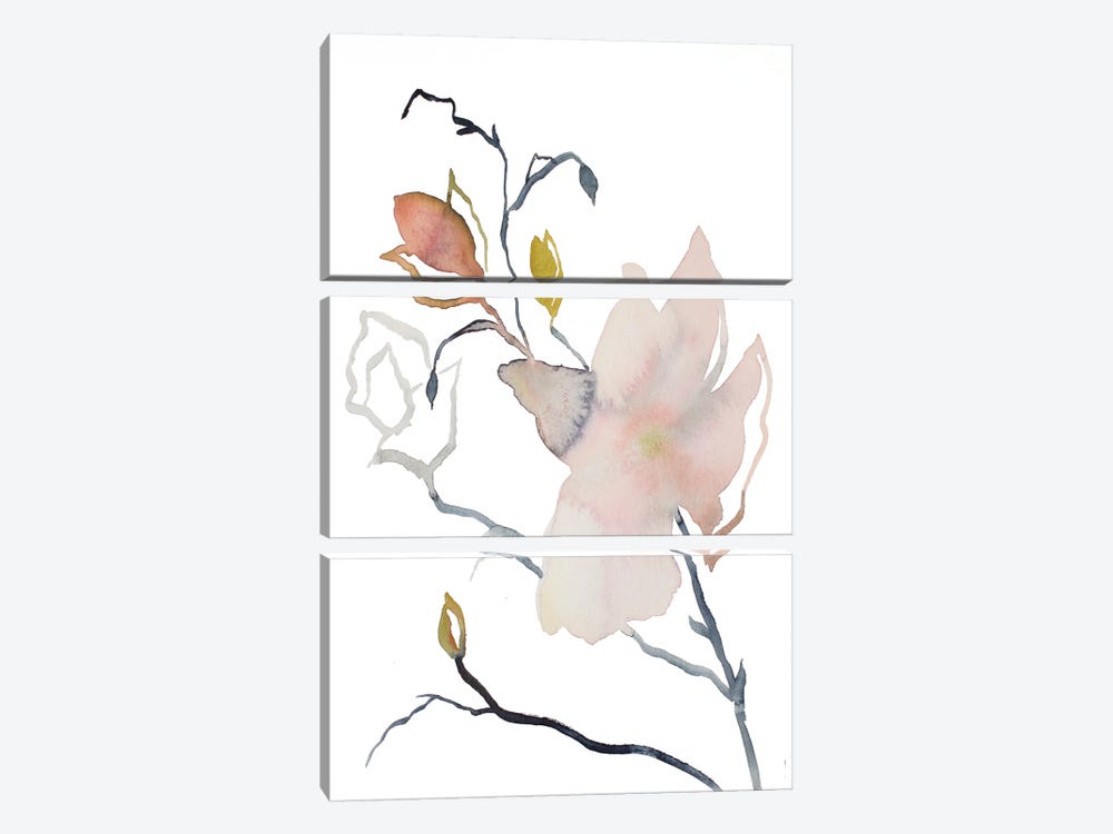 Magnolia No. 54 by Elizabeth Becker 3-piece Canvas Art Print