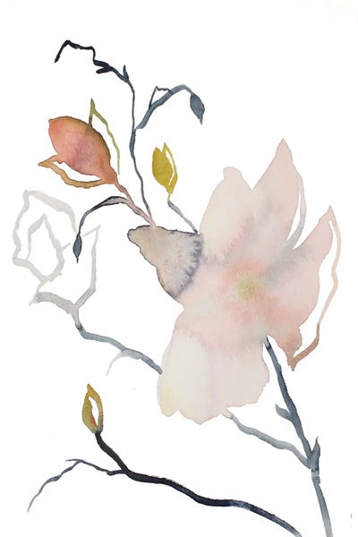Magnolias: Magnolia No. 54 by Elizabeth Becker