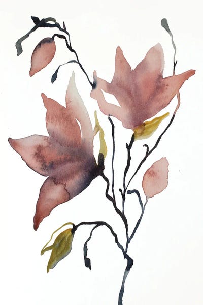 Magnolias: Magnolia No. 55 by Elizabeth Becker