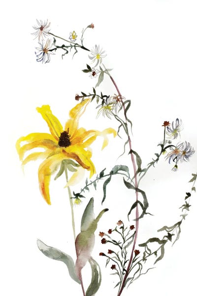 Wildflowers: Meadow Study No. 3 by Elizabeth Becker
