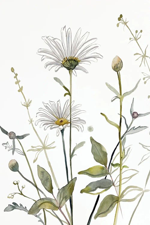 Meadow Study No. 4