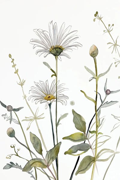 Wildflowers: Meadow Study No. 4 by Elizabeth Becker