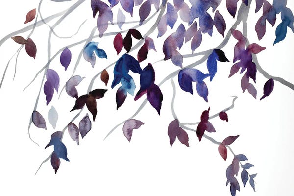 Elizabeth Becker: Branch Study No. 40 by Elizabeth Becker