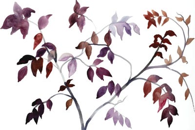 Branch Study No. 41 by Elizabeth Becker framed wall art