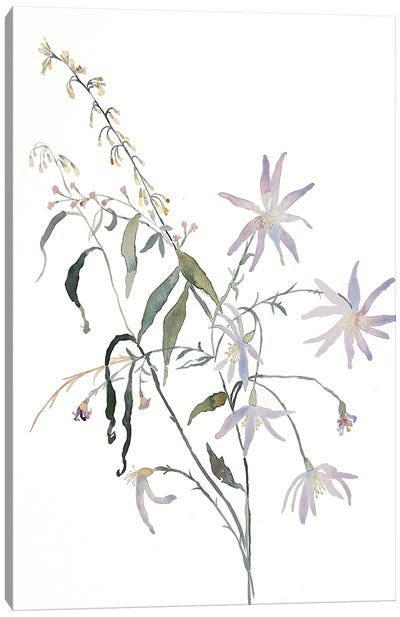 Meadow Study No. 5 Canvas Art Print - Minimalist Flowers
