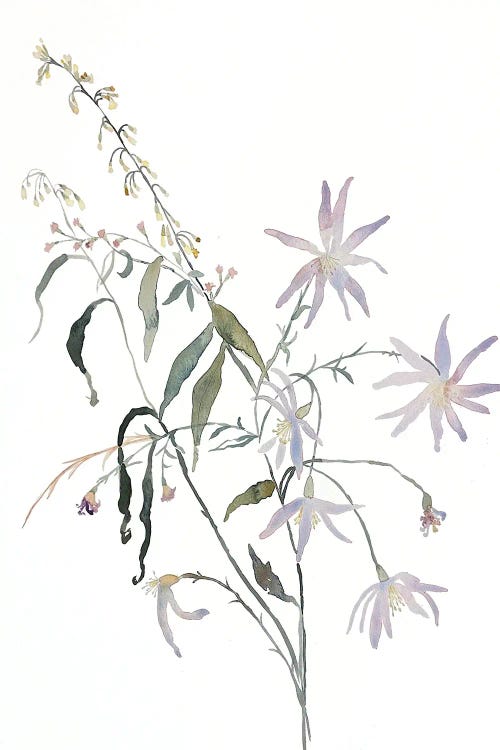 Meadow Study No. 5 by Elizabeth Becker wall art