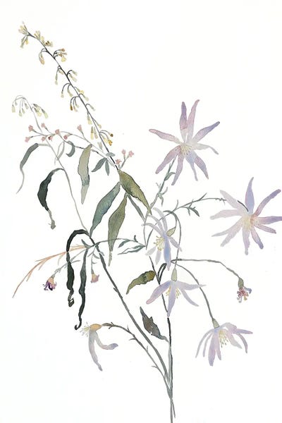 Wildflowers: Meadow Study No. 5 by Elizabeth Becker