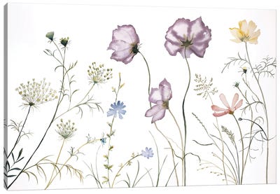 Meadow Study No. 10 Canvas Art Print - Minimalist Flowers