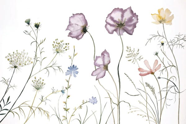Watercolor Flowers: Meadow Study No. 10 by Elizabeth Becker