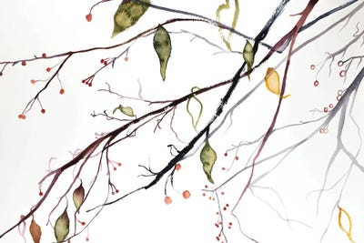 November Branches No. 12 by Elizabeth Becker framed wall art