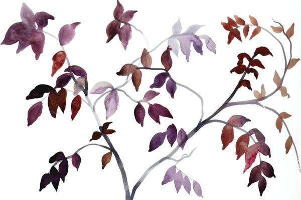 Elizabeth Becker: Branch Study No. 41 by Elizabeth Becker