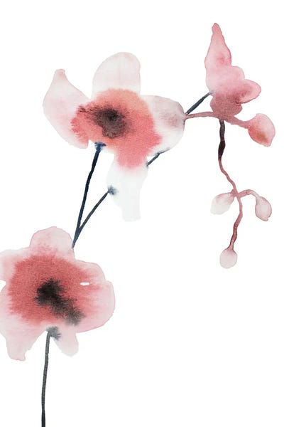 Orchid No. 1 by Elizabeth Becker framed wall art