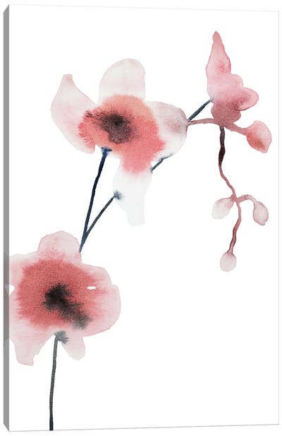 Orchid No. 1 Canvas Art Print - Elizabeth Becker