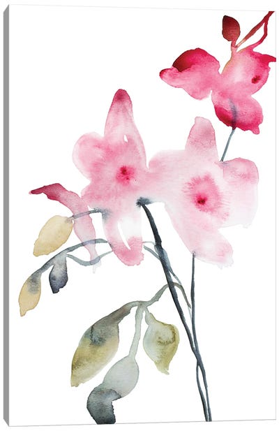 Orchid No. 4 Canvas Art Print - Orchid Art