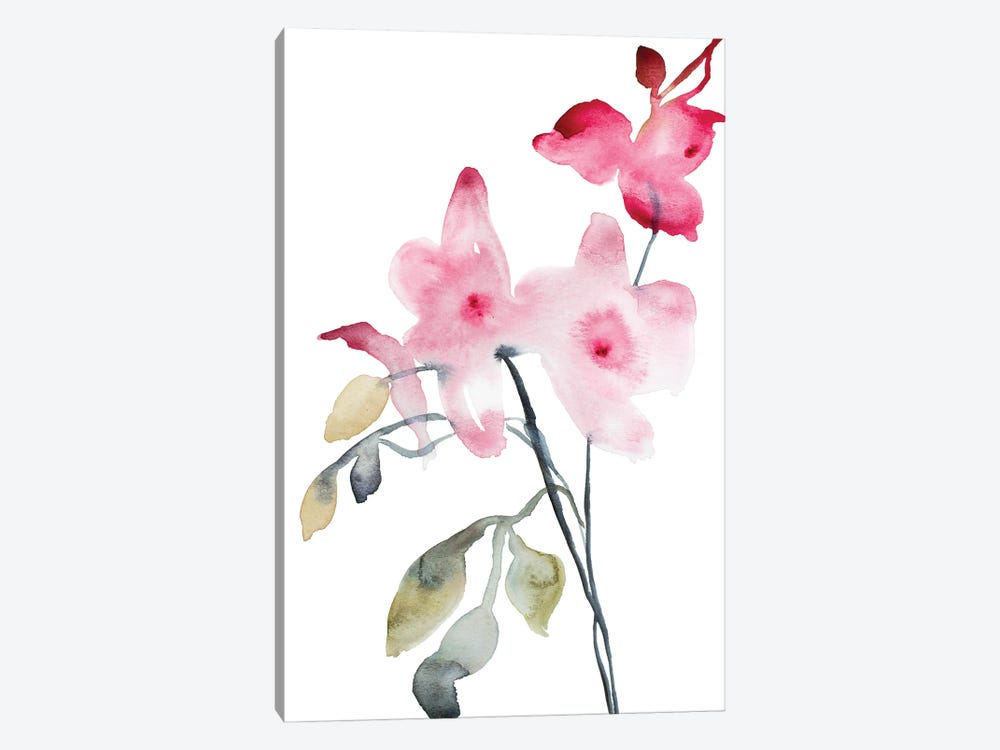 Orchid No. 4 by Elizabeth Becker 1-piece Canvas Art