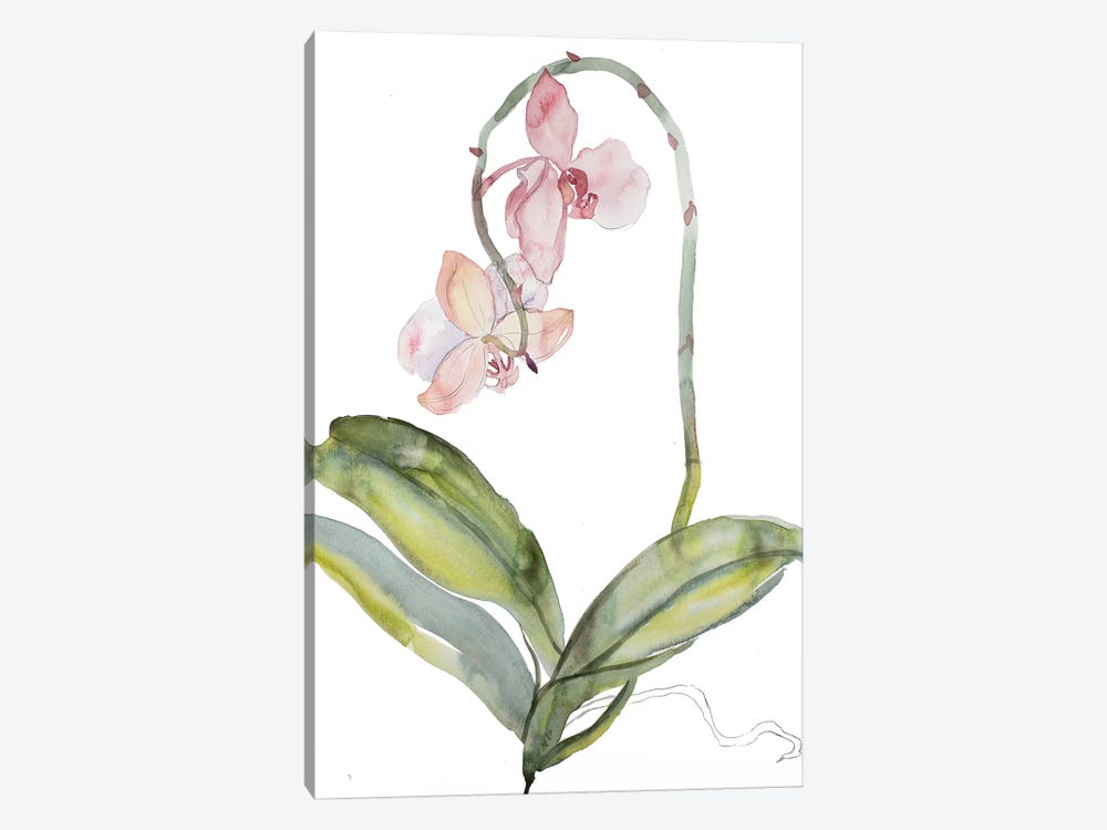 Orchid No. 9 by Elizabeth Becker 1-piece Art Print