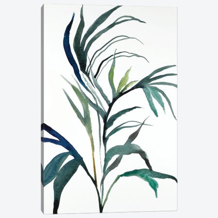 Plant Study No. 90 Canvas Print #EZB96} by Elizabeth Becker Canvas Artwork